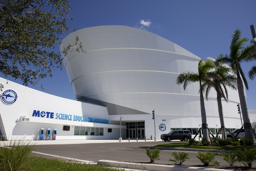 exterior of mote aquarium in sarasota