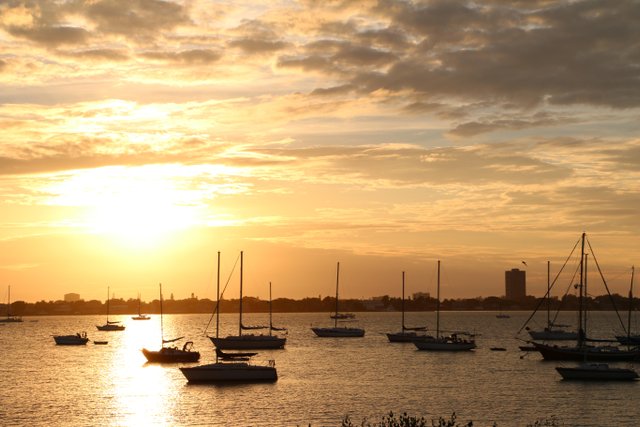 sailboats at the mooring field at sarasota marina