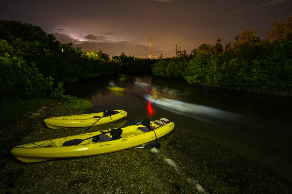 mote marine kayak paddle tour