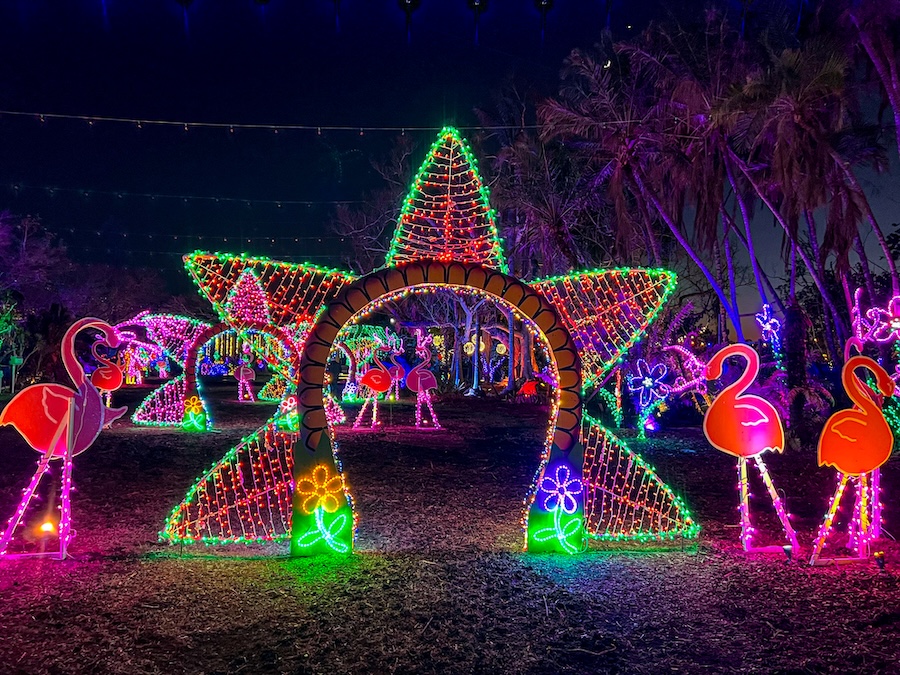 selby's lights in bloom event in december