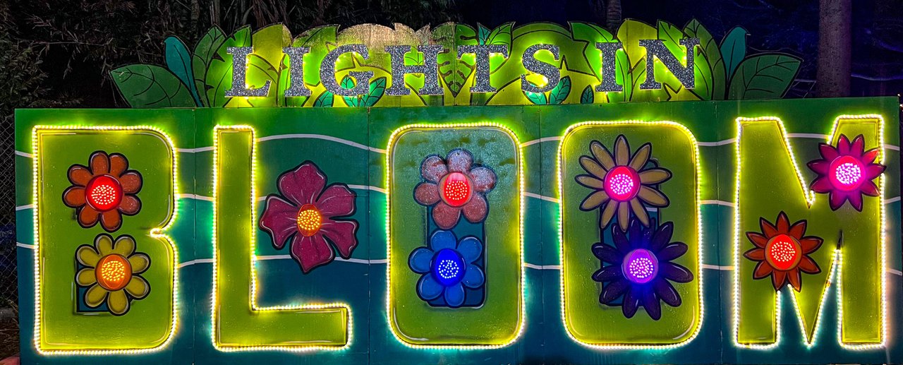 lights in bloom at selby gardens