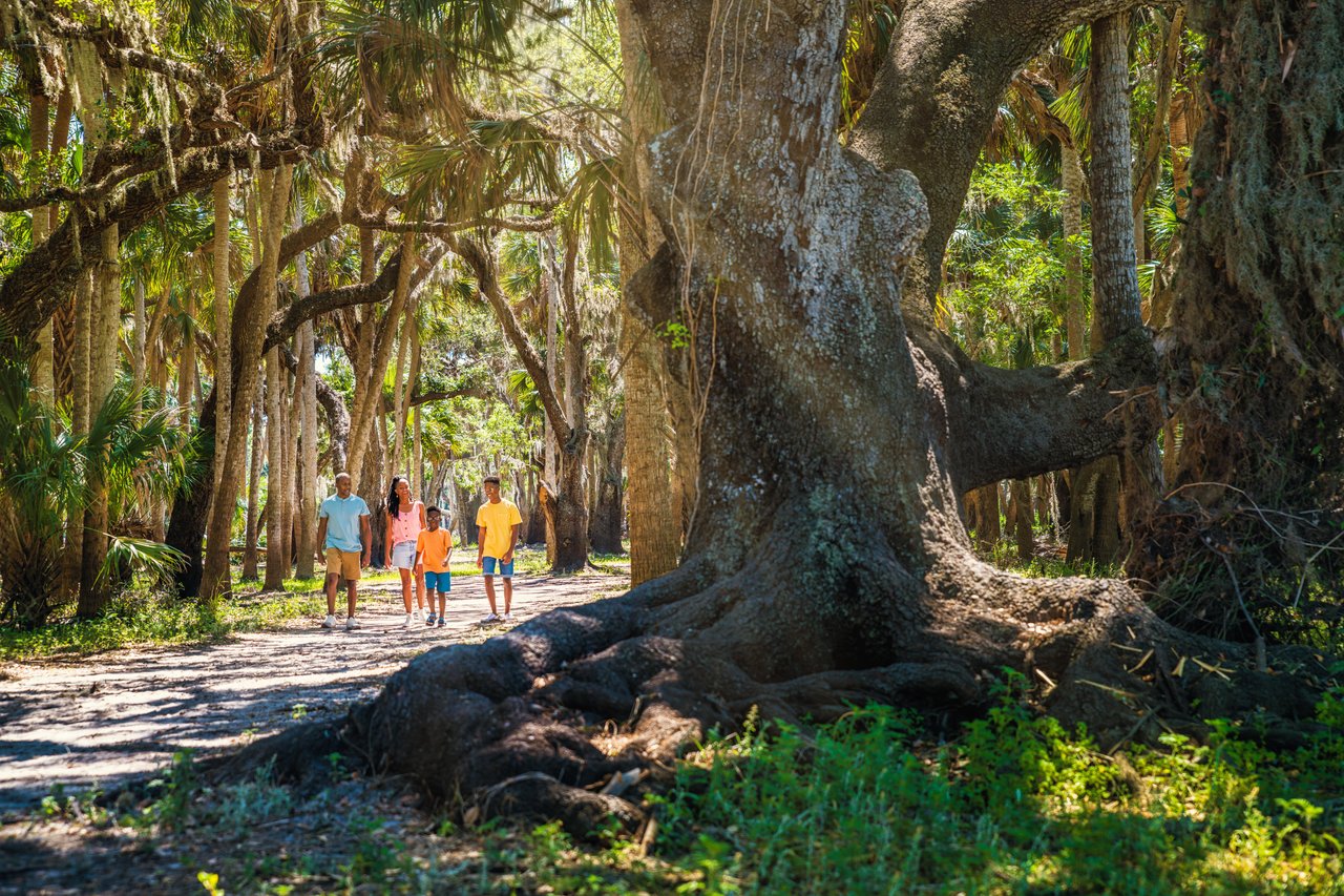 family walking around myakka river stake park under lush trees