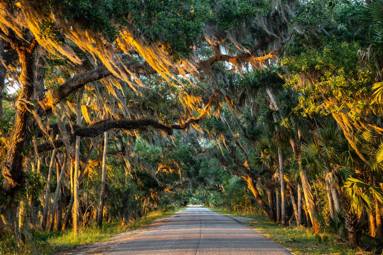myakka river state park trails
