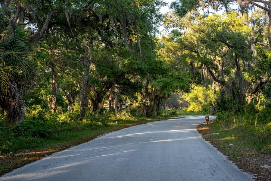 oscar scherer state park roads