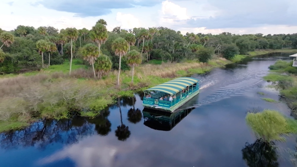 wildlife boat tour in myakka river state park