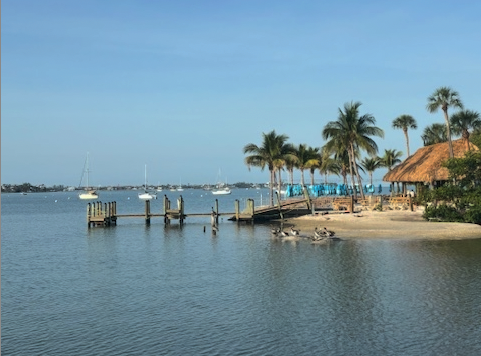 olearys tiki bar in sarasota fl