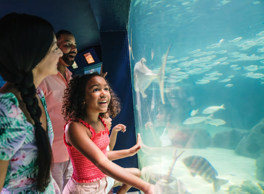 dad and mom at mote marine aquarium with kids