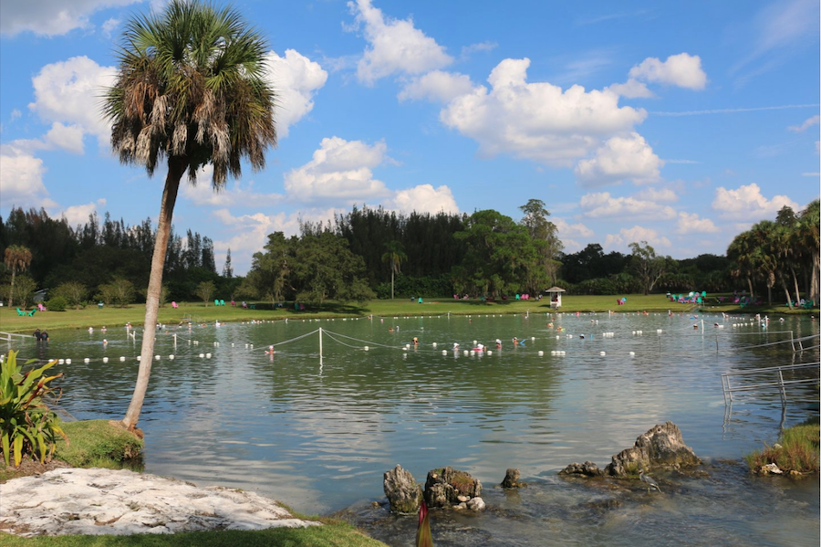 swimmers bathing in warm mineral springs in north port fl