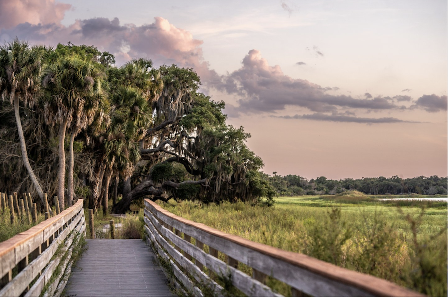 myakka river state park at sunset
