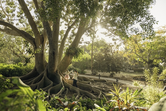 girl walking up banyan tree on halloween in sarasota