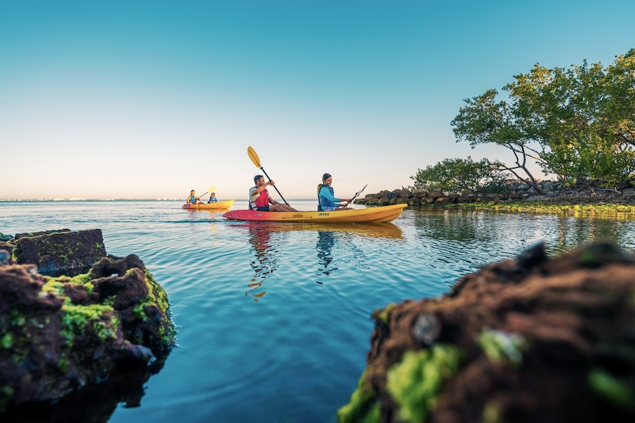 family kayaking in the bay sarasota on a summer day