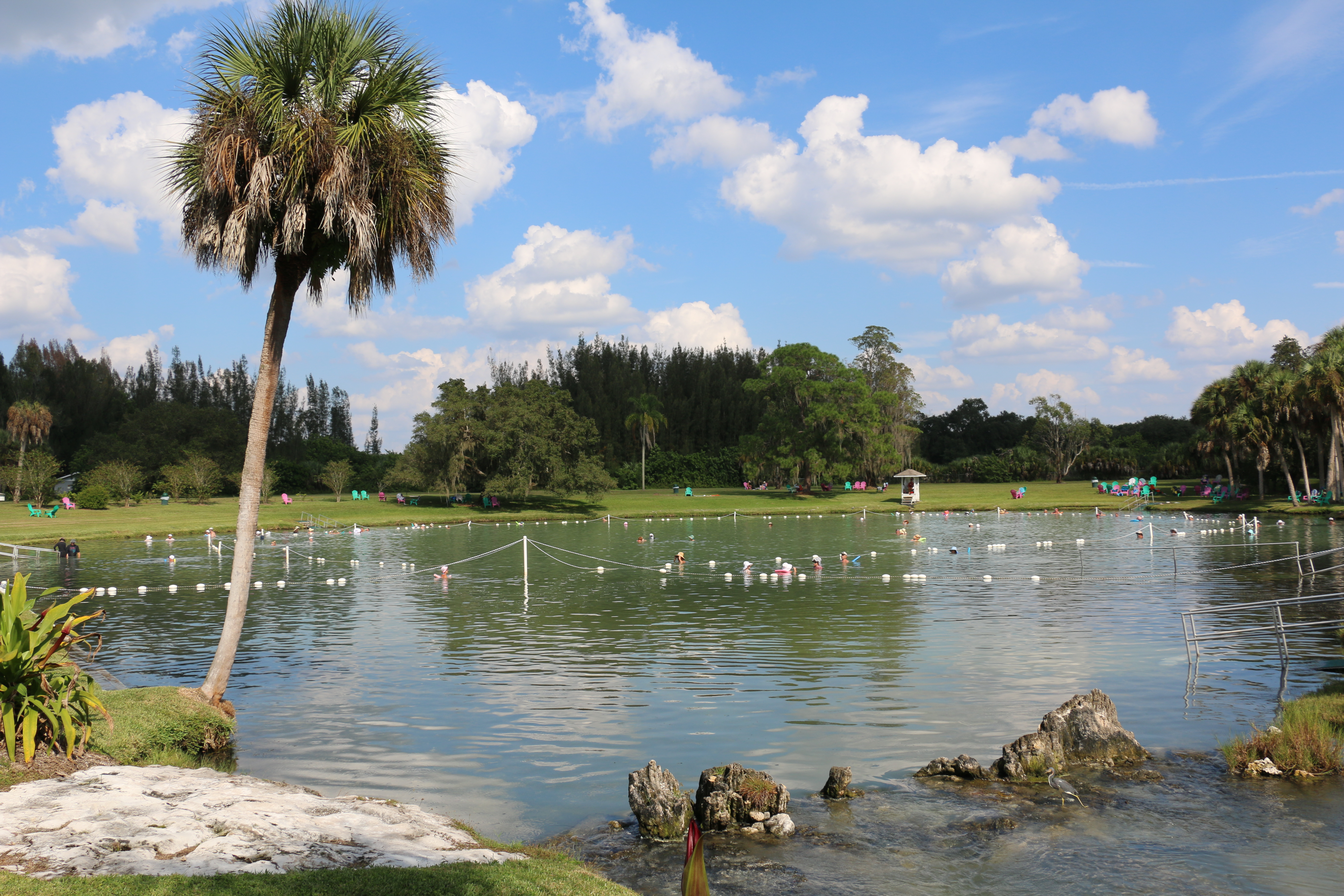 warm mineral springs park