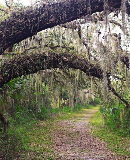 Nine Great Day Hikes to Get Your Walk On