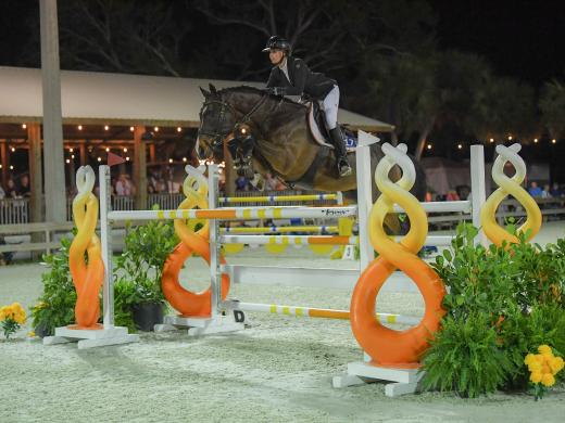 Horse jumping large jump in front of big crowd